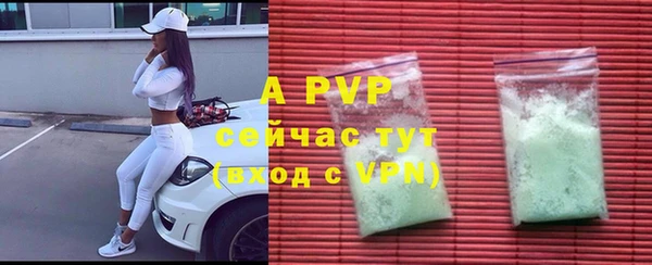 твердый Михайлов