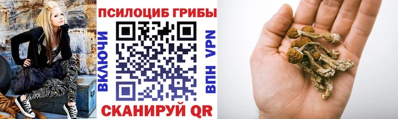 даркнет сайт  сайты даркнета какой сайт  Псилоцибиновые грибы ЛСД  Ликино-Дулёво  ОМГ ОМГ вход 