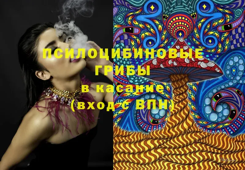 Галлюциногенные грибы Cubensis  Ликино-Дулёво 